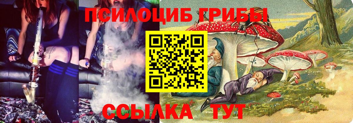 Сокол  Галлюциногенные грибы ЛСД  Вход с VPN 
