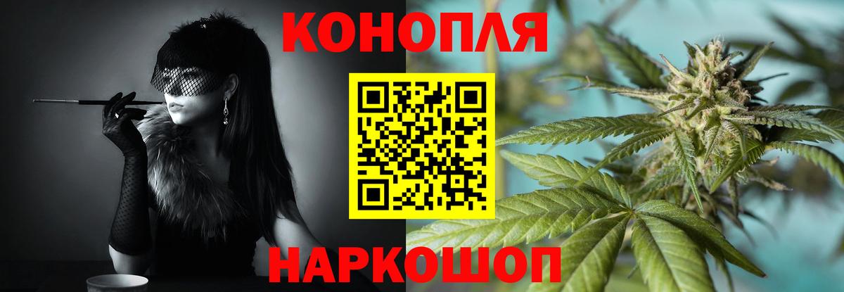 Конопля тримм  Вход с VPN  Каннабис сатива  Бошки марихуана OG Kush  Сокол  МАРИХУАНА Ganja 